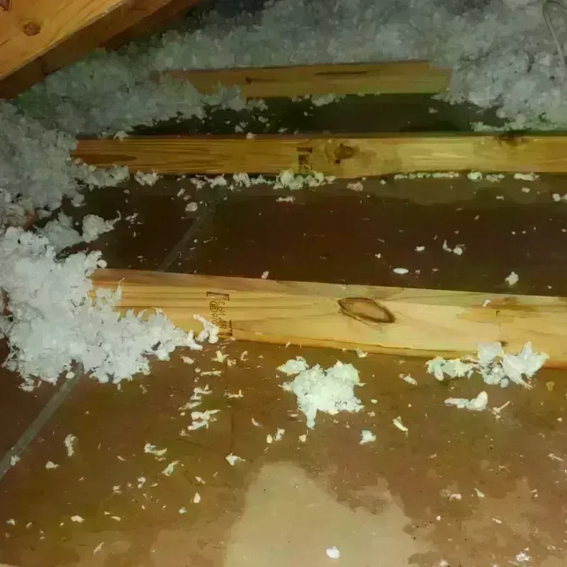 Attic Water Damage in Melvindale, MI