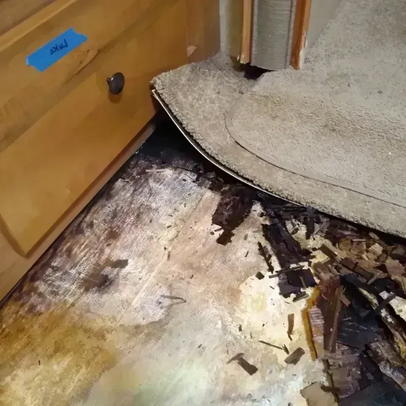 Wood Floor Water Damage in Melvindale, MI